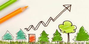Maximise Your Business Growth Through Strategic Support Services